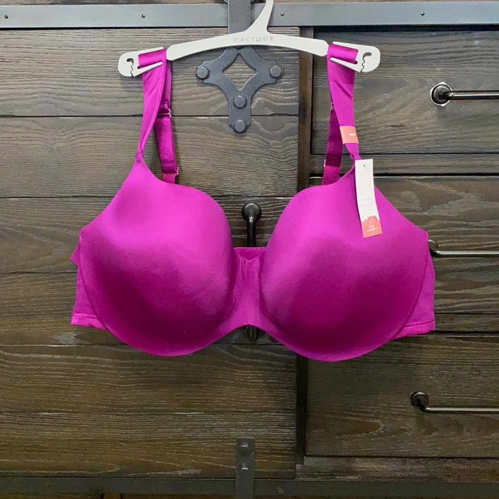 Lane Bryant bra